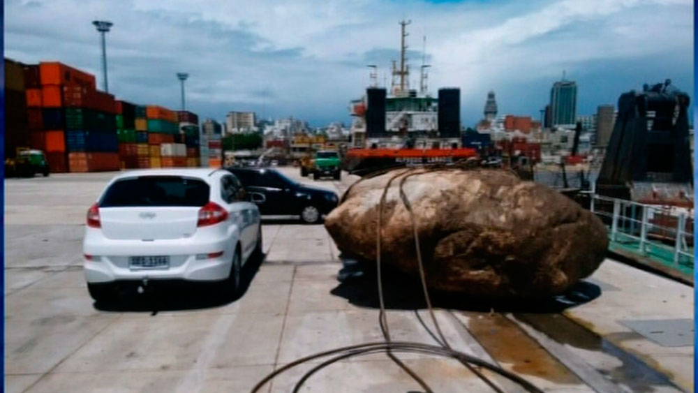 Dos piedras de grandes dimensiones fueron extraídas del Puerto de ... - Teledoce.com