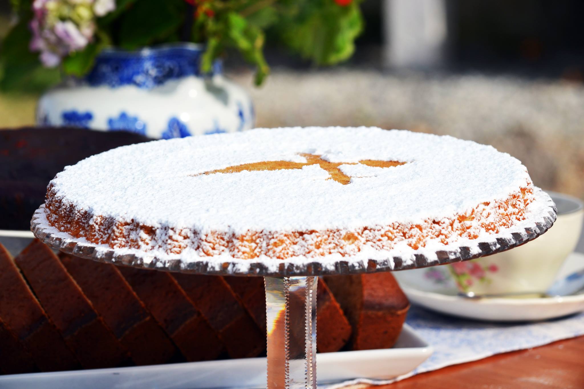 13320605_988069481242191_762772786479510311_o