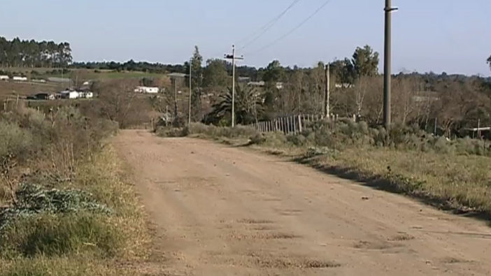 Luego de que el intendente se mostrara a favor de sacrificarlos, jauría de perros mató a 36 ovejas en un campo en Cerro Largo