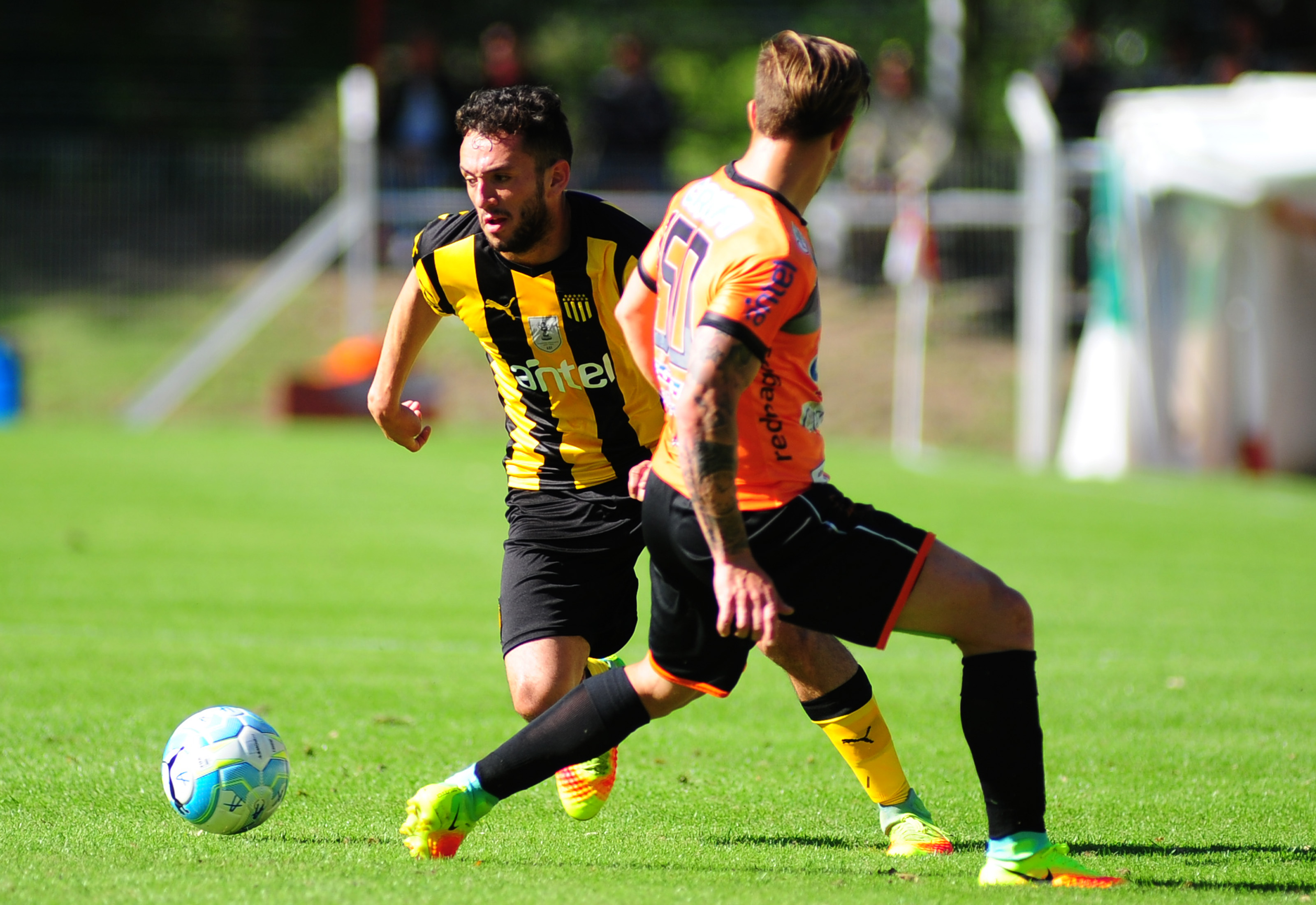 Sud America vs Peñarol