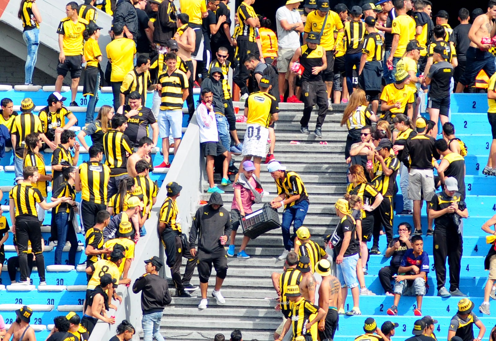 WhatsApp Image 2016-11-27 at 16.31.25