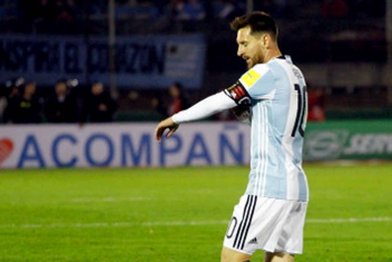 WhatsApp Image 2017-08-31 at 21.13.21