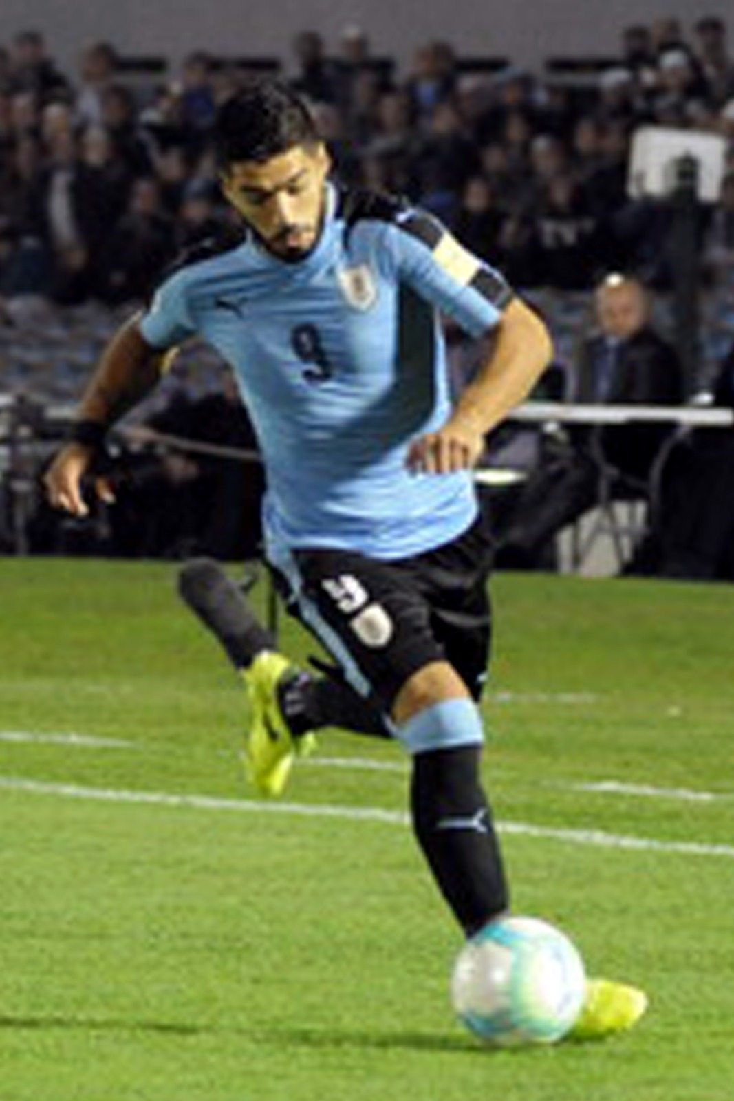 WhatsApp Image 2017-08-31 at 21.13.35