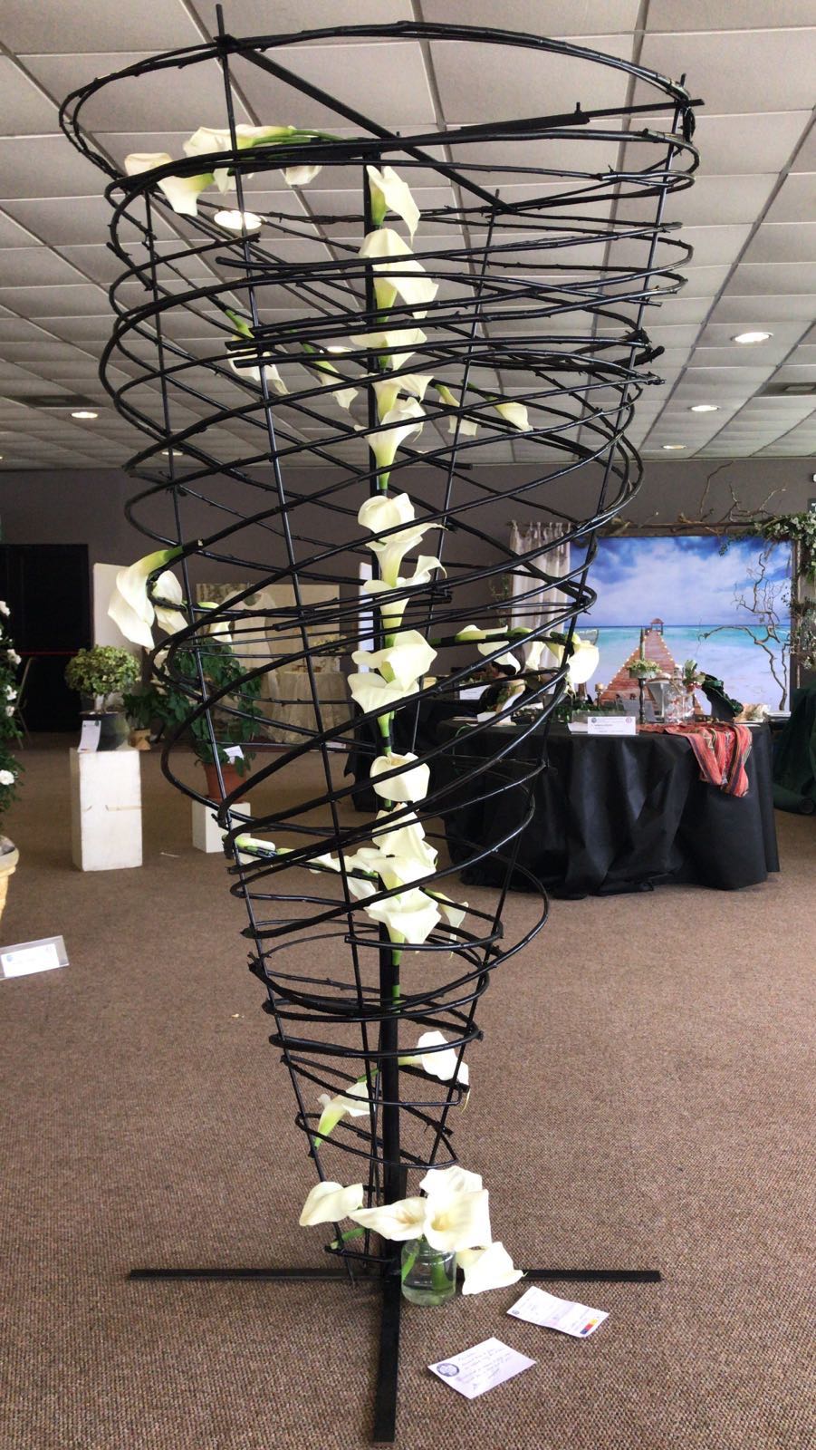 WhatsApp Image 2017-11-01 at 14.41.32 (1)