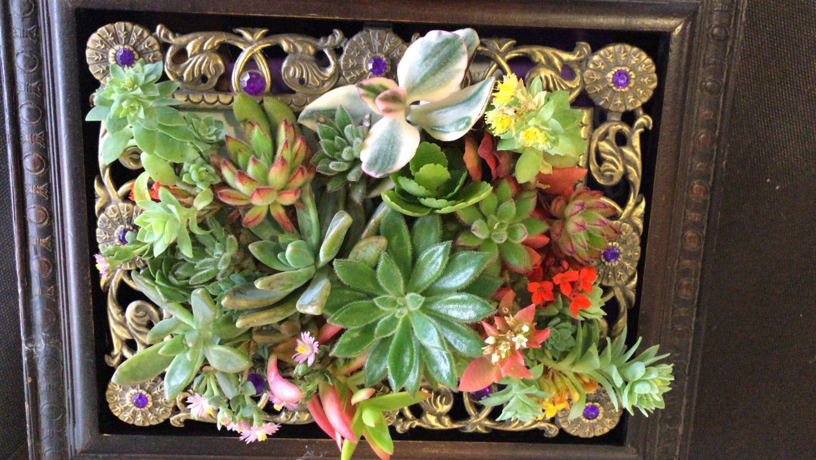 WhatsApp Image 2017-11-01 at 14.41.34 (1)