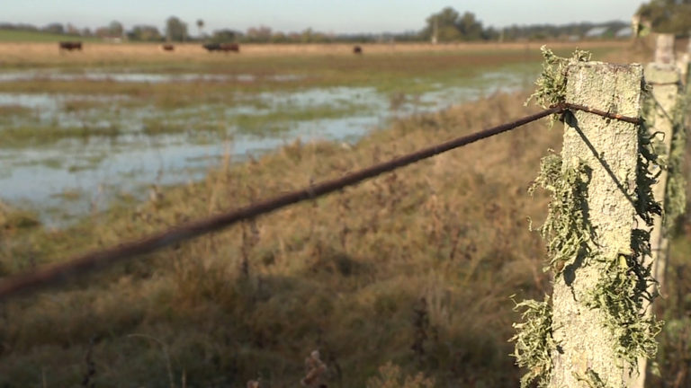 La joven que apareció muerta en Paso Pache habría sido asesinada hace