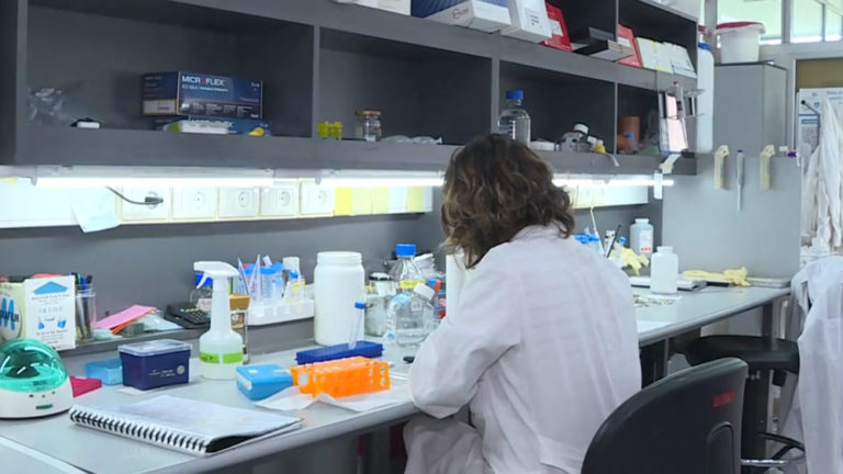 La Udelar y el Instituto Pasteur están elaborando un test diagnóstico para el coronavirus