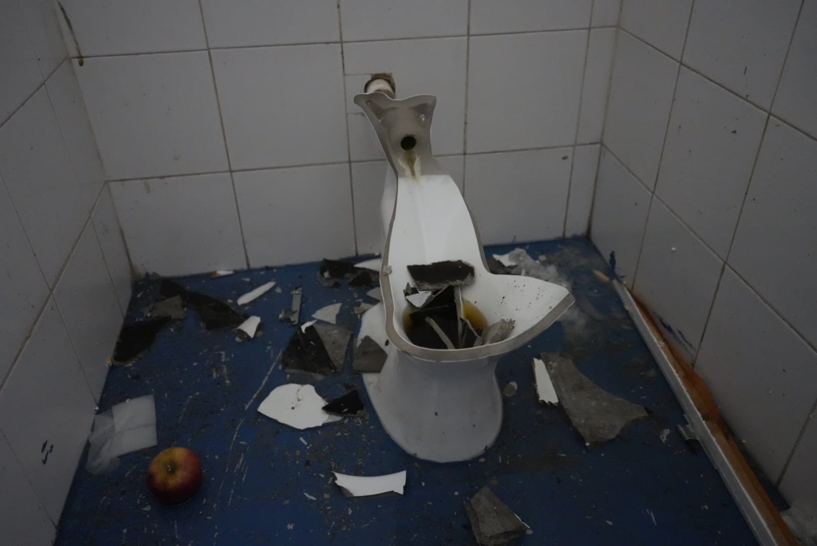 Alambrados rotos, paredes quemadas y destrozos en los baños: así quedó ...