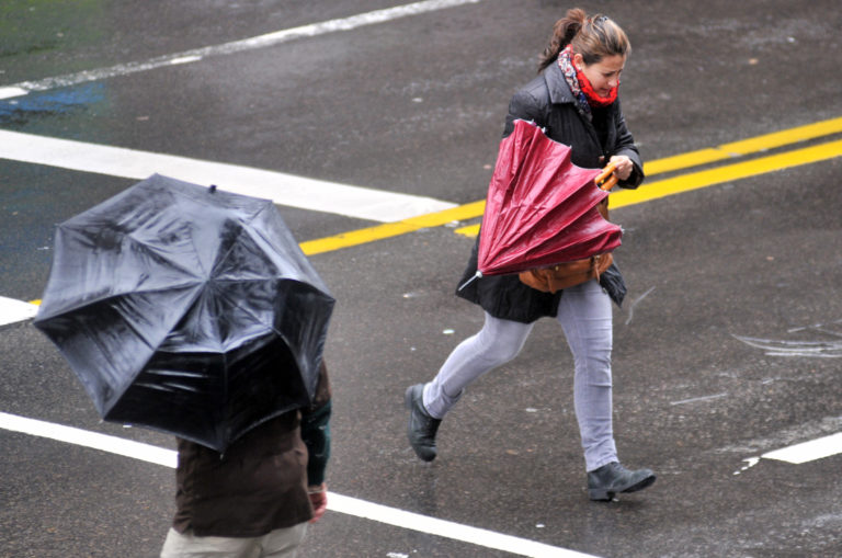 Temperaturas y lluvias por encima de lo normal: Inumet informó como afectará el fenómeno El Niño al clima en Uruguay