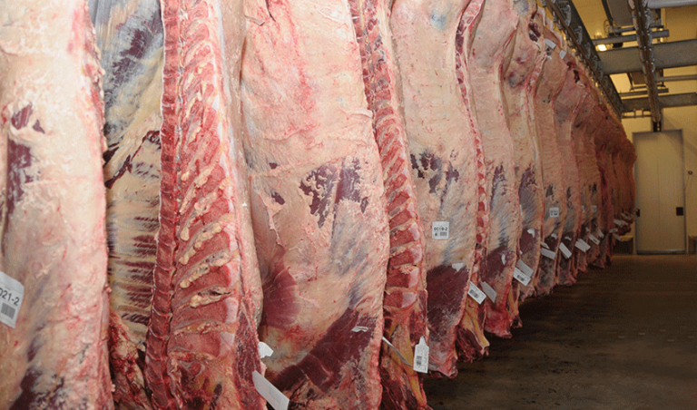 China anunció que a partir de enero impondrá aranceles adicionales del 55% a importaciones de carne vacuna de varios países, incluido Uruguay