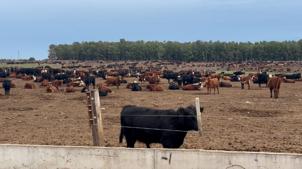 estancia maria dolores