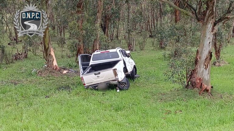 Un hombre de 42 años murió tras volcar en su camioneta en ruta 11 en la zona de Ecilda Paullier