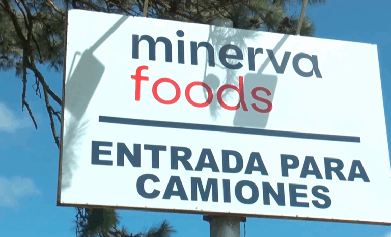 Comisión de Defensa de la Competencia rechazó nuevamente solicitud del grupo Minerva para comprar tres frigoríficos en Uruguay