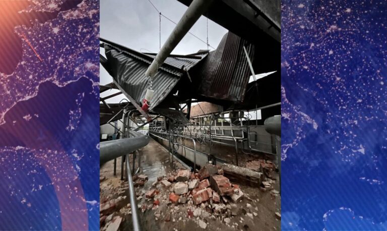 Vientos de hasta 150 km/h, voladuras de techos y miles de personas sin luz: temporal afectó el litoral, en especial a Paysandú y Colonia