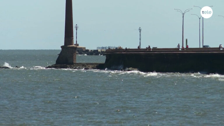 Investigan el hallazgo de un cuerpo en aguas del Río de la Plata, a la altura de la rambla de Ciudad Vieja