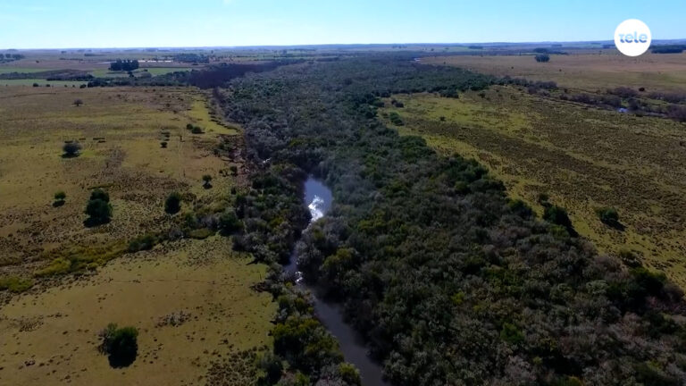 “Vamos a conversar con todo el mundo”: el presidente de OSE dijo que pronto comenzará análisis de impacto social, ambiental y económico de Casupá