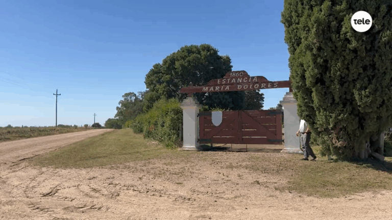 “Tenemos expectativas de que muchos productores puedan beneficiarse”: Colonización mostró avances en la estancia María Dolores