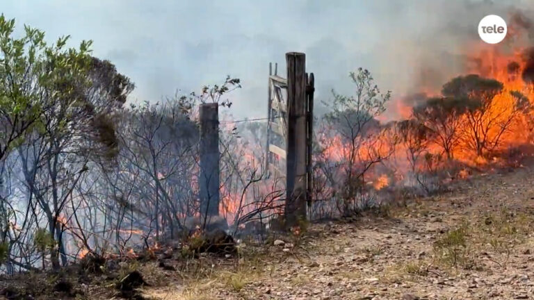 “Tenemos fácil dos días más de trabajo”: las altas temperaturas y la falta de lluvias dificultan el combate al incendio en Minas