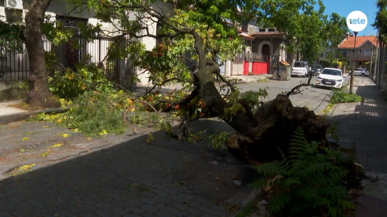 Más de 5.000 clientes de UTE continúan afectados en el área metropolitana tras el paso del ciclón extratropical del fin de semana