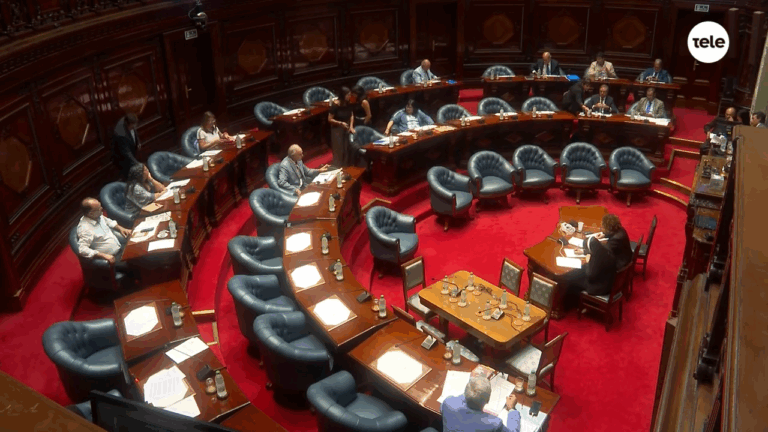 Autoridades del INAU fueron convocadas al Parlamento tras la muerte de tres menores bajo su tutela