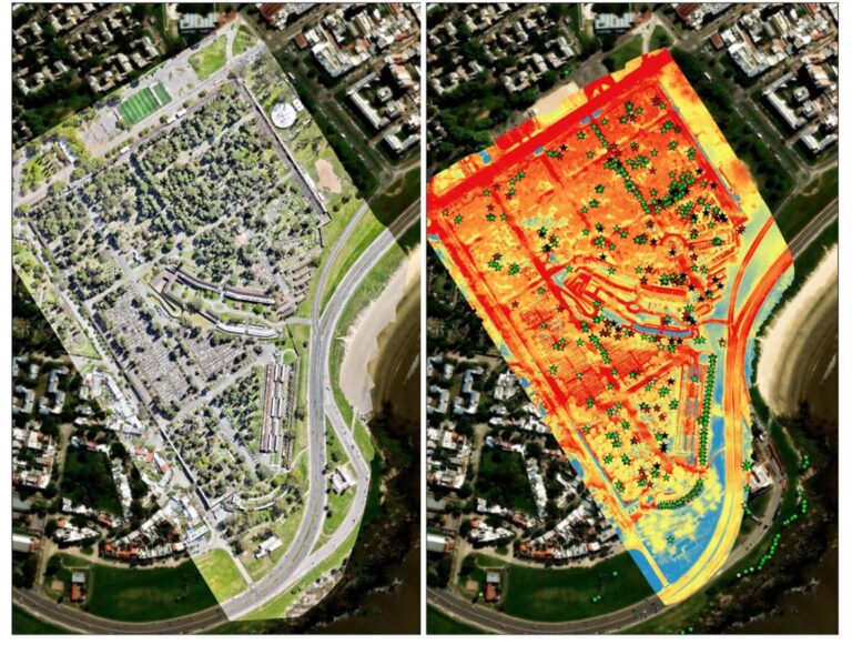 Investigadores de la UTEC desarrollan herramienta para la detección temprana del picudo rojo; de qué se trata y cuáles son los pasos a futuro