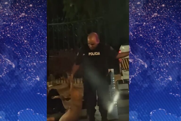 Un policía mató a un perro luego que el animal intentara atacarlo en Paso de los Toros