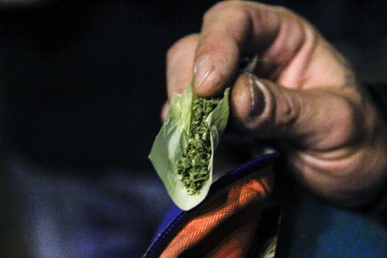 Polémica: plantean vender cannabis legal a extranjeros que visiten Uruguay