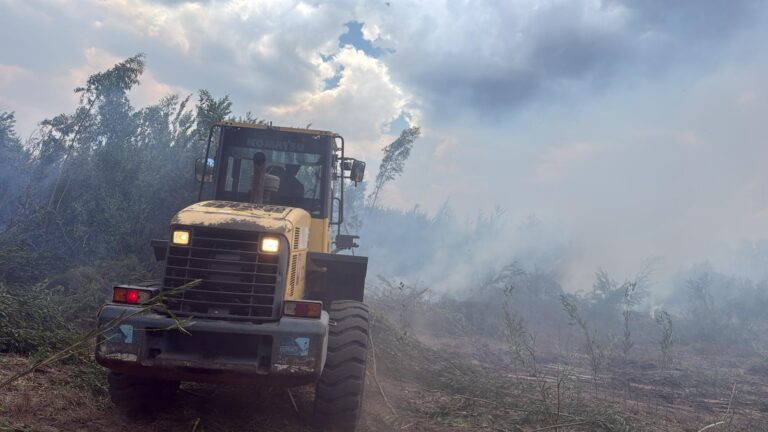 AHORA: Incendio en Cerros Azules obligó a cortar la ruta 9 por la densa nube de humo