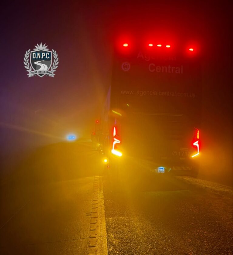 Un hombre trató de suicidarse dentro del baño de un ómnibus, abrió una puerta de emergencia, se tiró a la ruta y murió